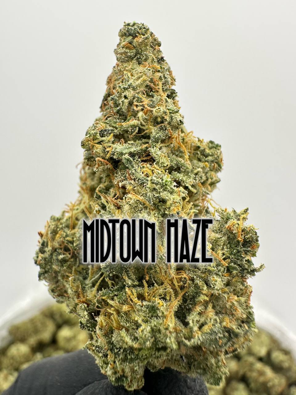 SHATNER’S LEGENDS SERIES: Midtown Haze, OG 18