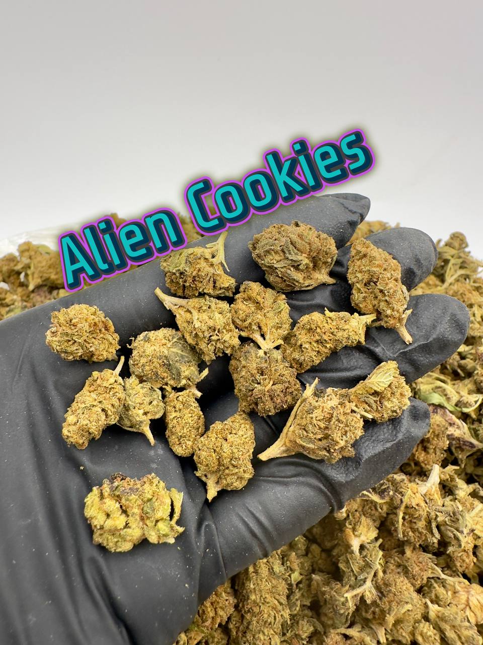 OUTDOO SMALLS: Alien Cookies