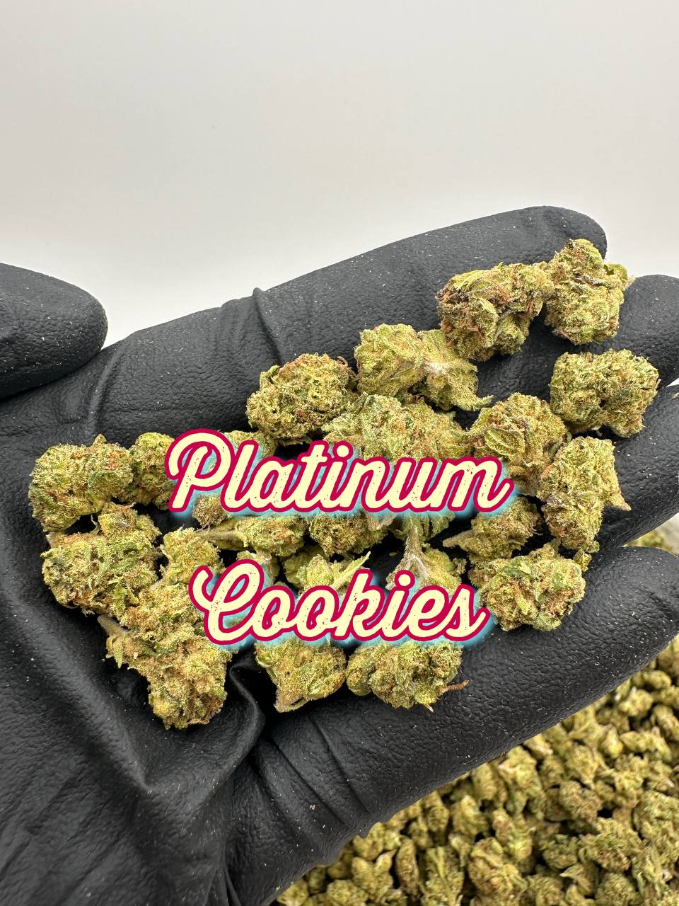 NEW GREENHOUSE SMALLS: Platinum Cookies, Biscotti Gelato, Zoap Mintz, Strawberry Sour