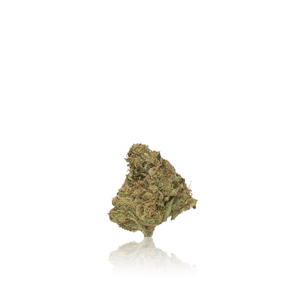 3Bros 1/2 Premium Indoor
