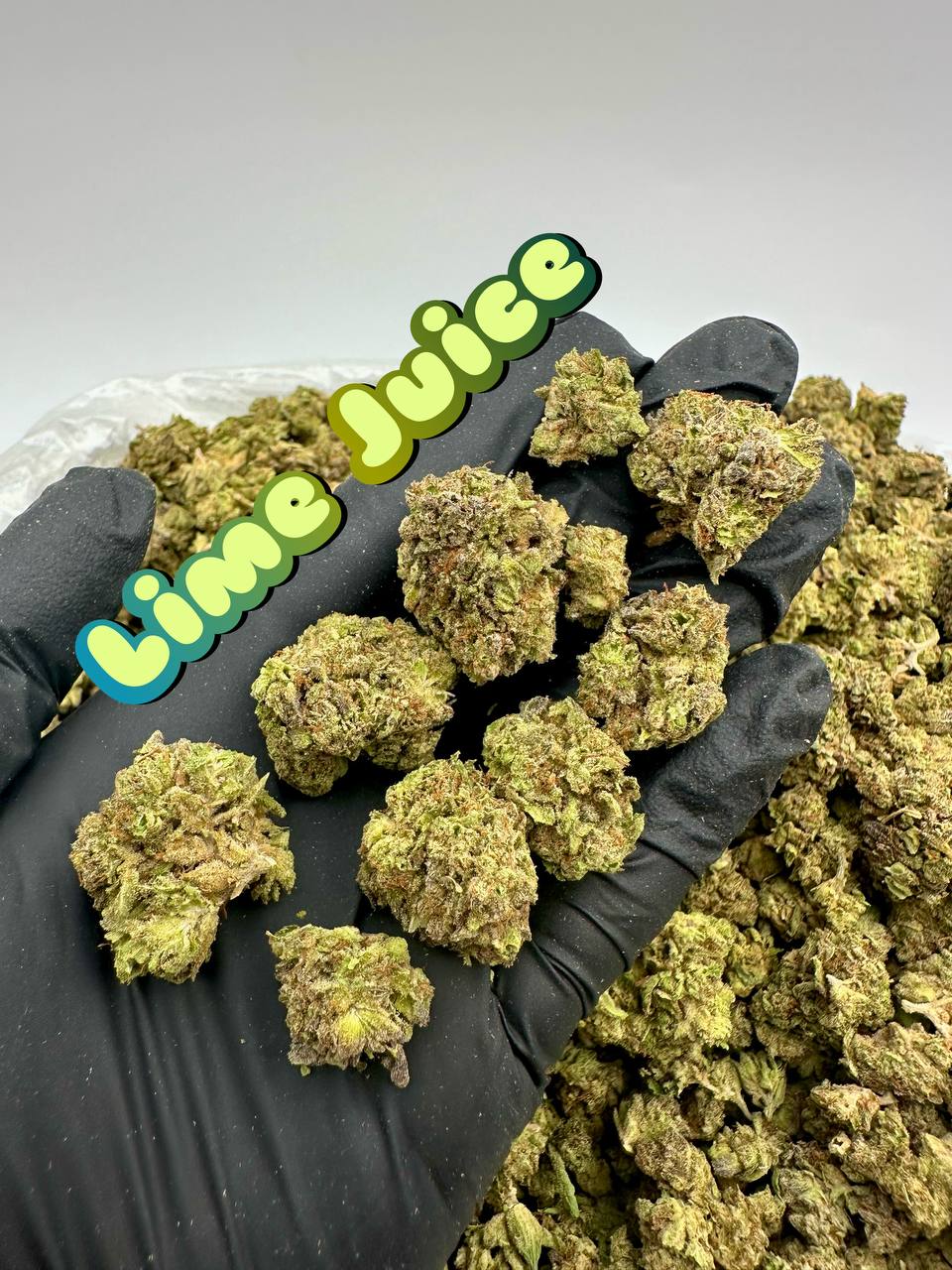 NEW GREENHOUSE SMALLS: Tangie Ghost, Mac Stomper Razzleberry Muffin, Lime Juice
