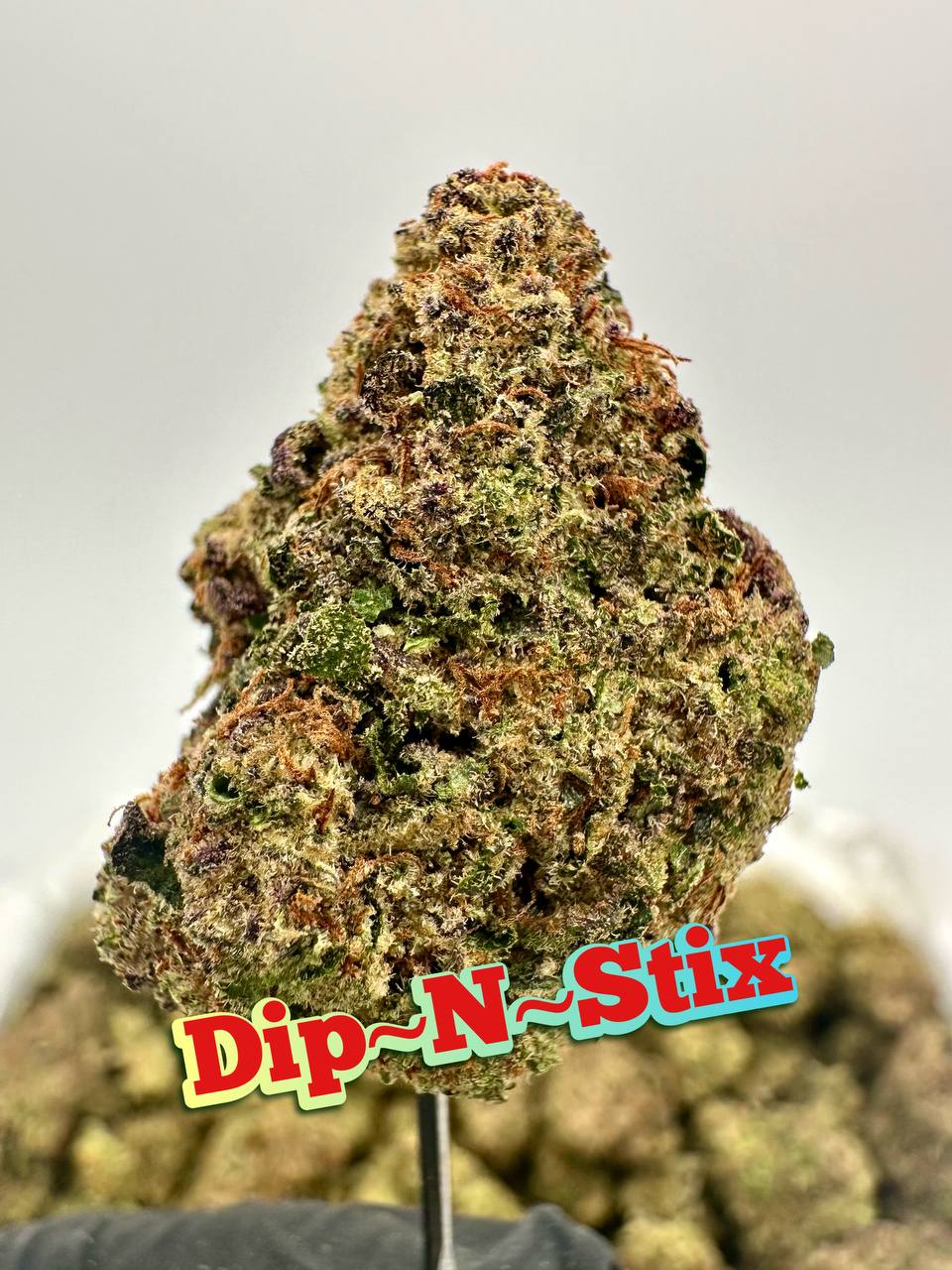 NEW PREMIER LIGHT DEPS: Jelly Rollz, Grapple Pie, Popstar, Dip N Stix