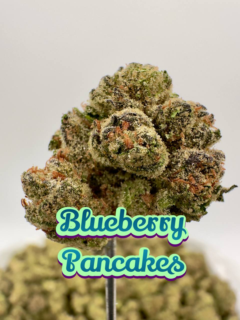 LIGHT ASSIST: Pixie Stix, Blueberry Pancakes