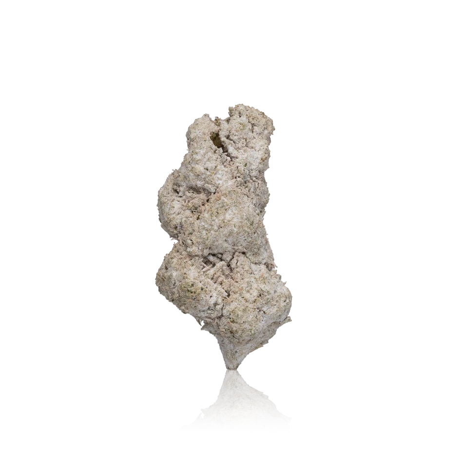 HashTag Hash & Diamond Infused Flower