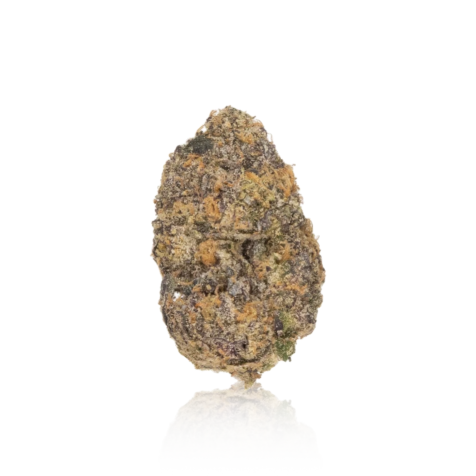 Planta Exotic Cannabis Flower