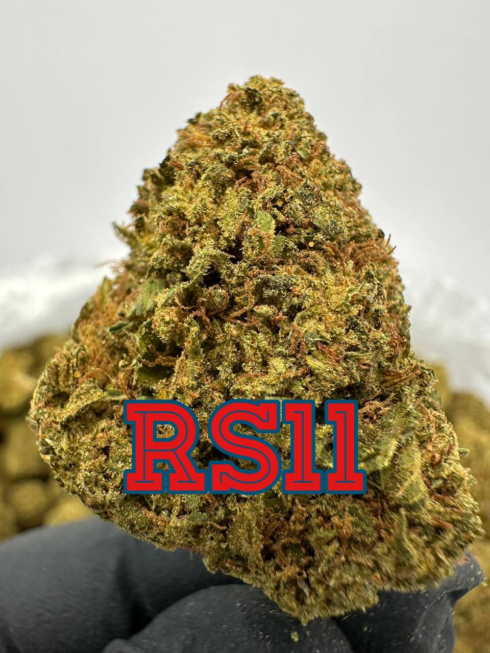 NEW HIGH END OUTDOORS: RS-11