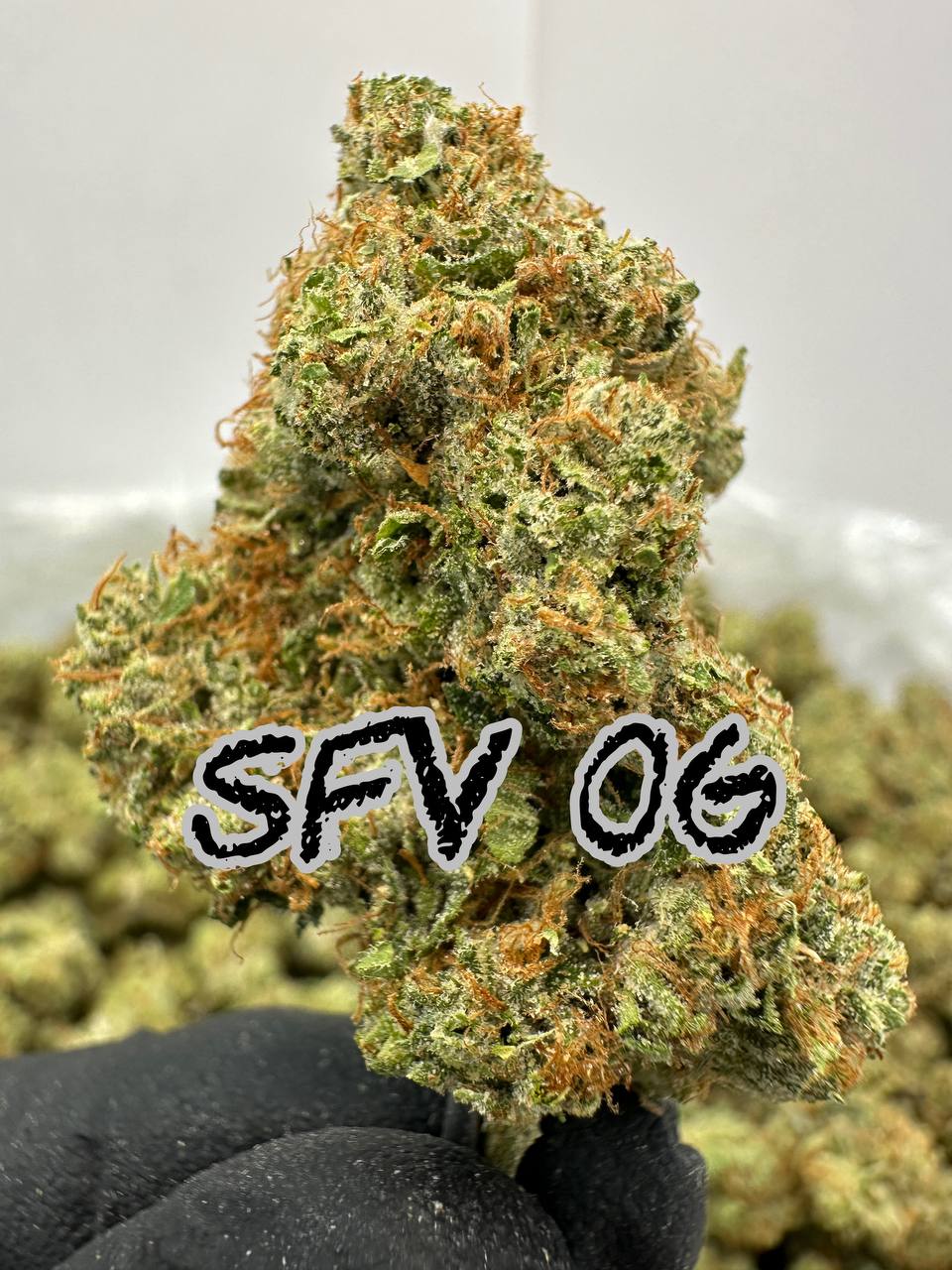 LEGENDS SERIES: Jack Herer, Original Glue, SFV OG