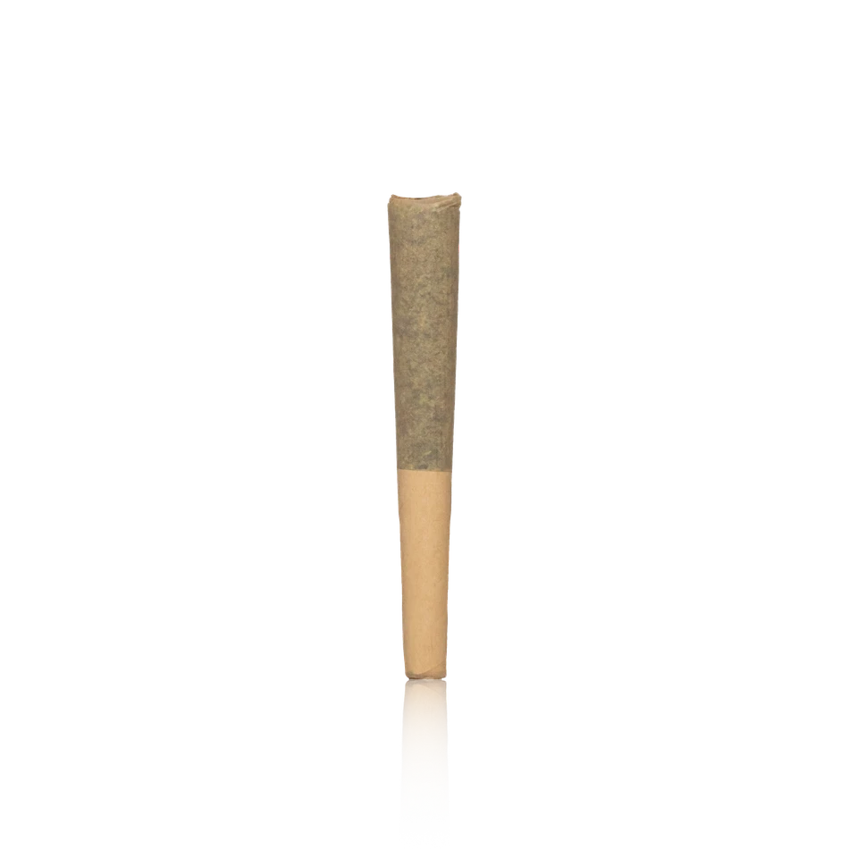 Sun Smoke 14 Pack Jar 0.5G Pre-Rolls