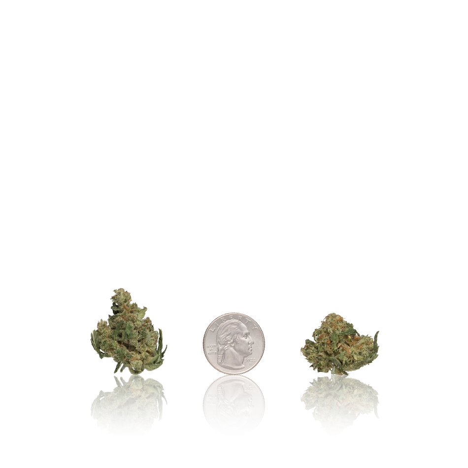 Untrimmed Premium Flower Smalls