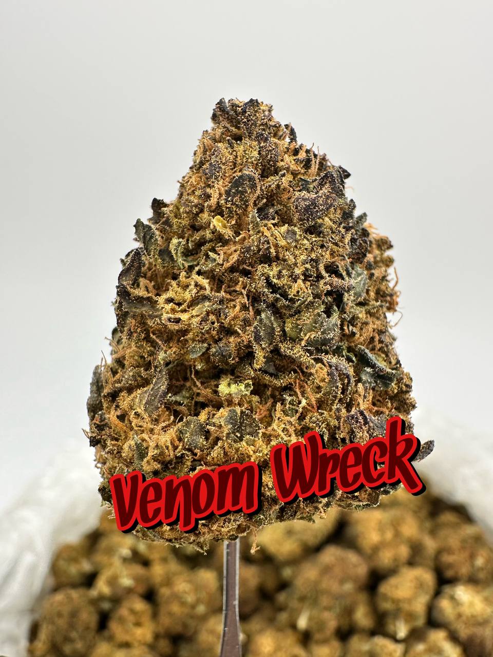 NEW HIGH END OUTDOORS: Venom Wreck