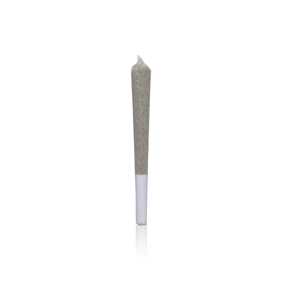 Mr. Zips Zip Single Preroll