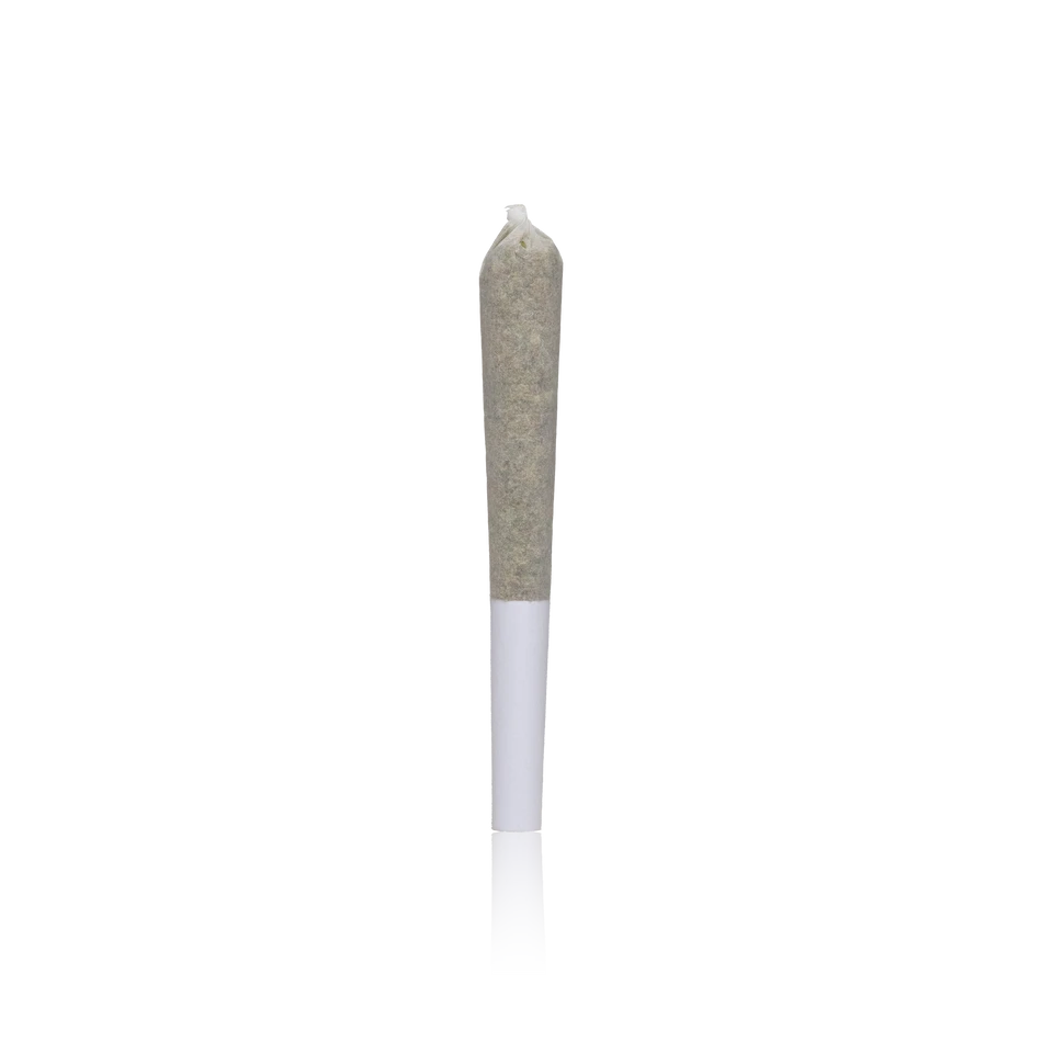 Mr. Zips Zips Preroll 28PK 1/2 OZ