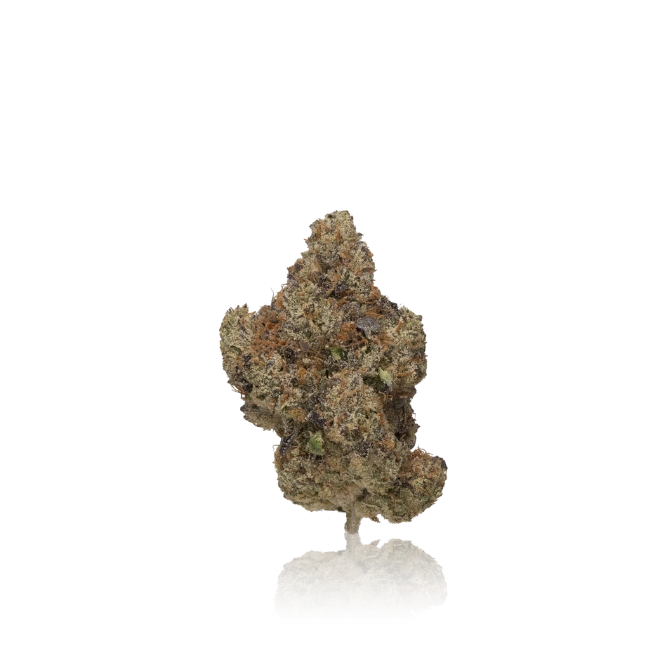 BLEM Exotic Flower