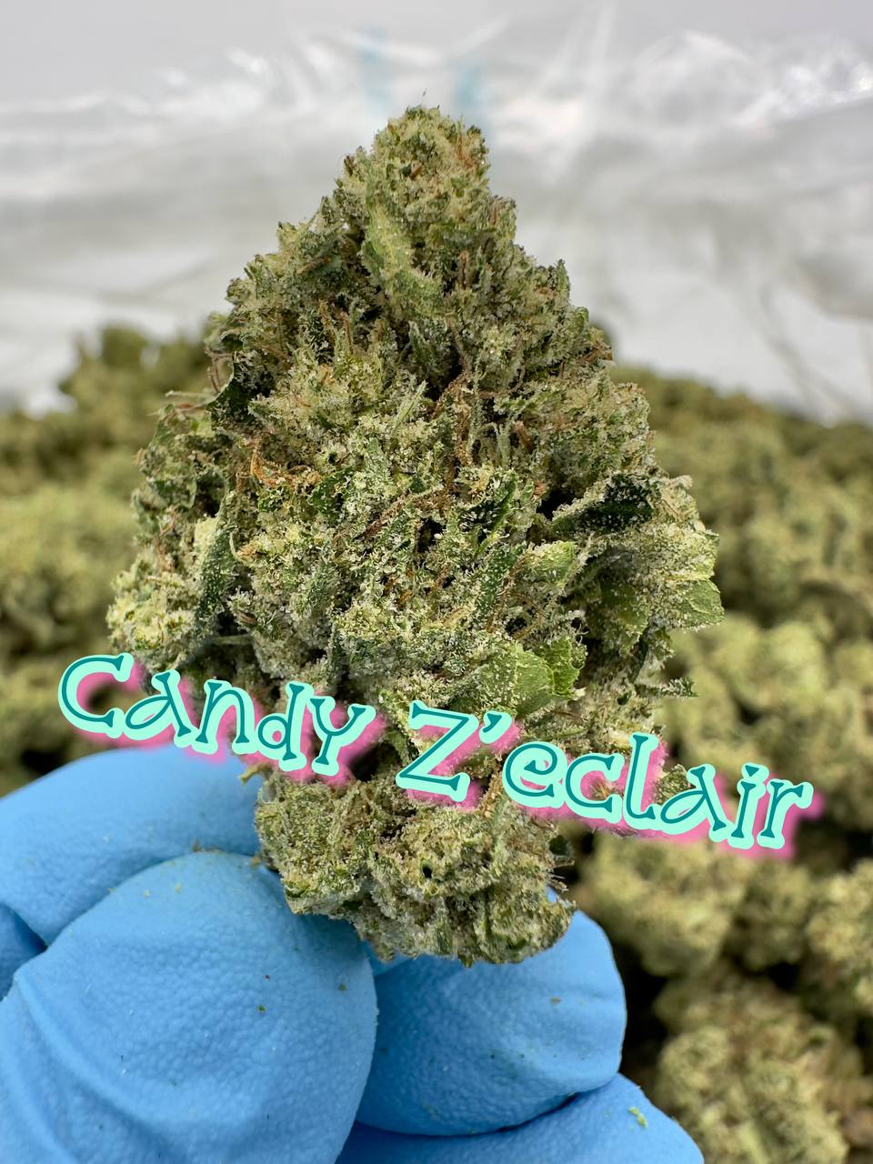 GREENHOUSE SMALLS: Sour Pez, Sour Strawberry Kush, Candy N Cream, Rainbow ICC