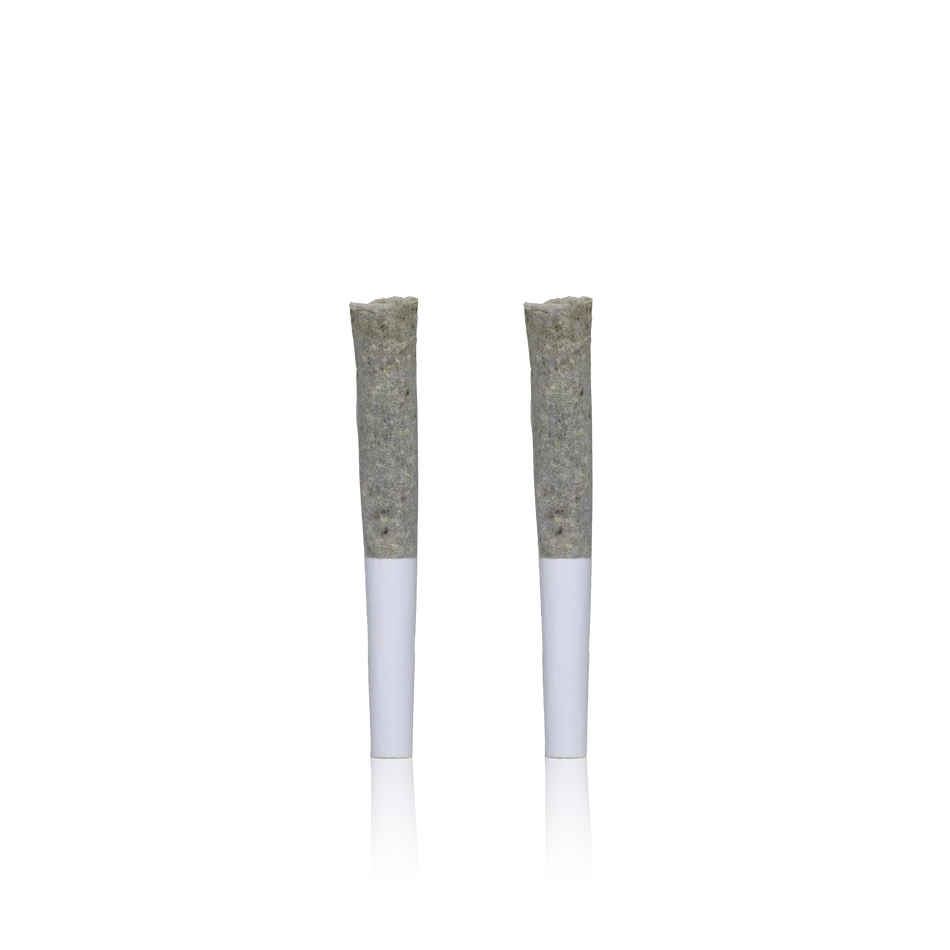 Cizi Infused Pre-Rolls 2PK