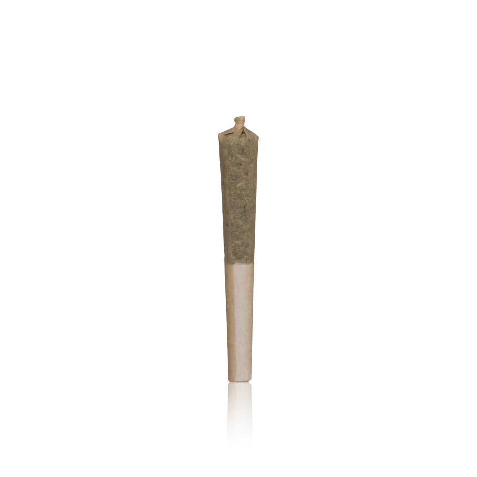 CLSICS Rosin Infused Pre-rolls 5PK