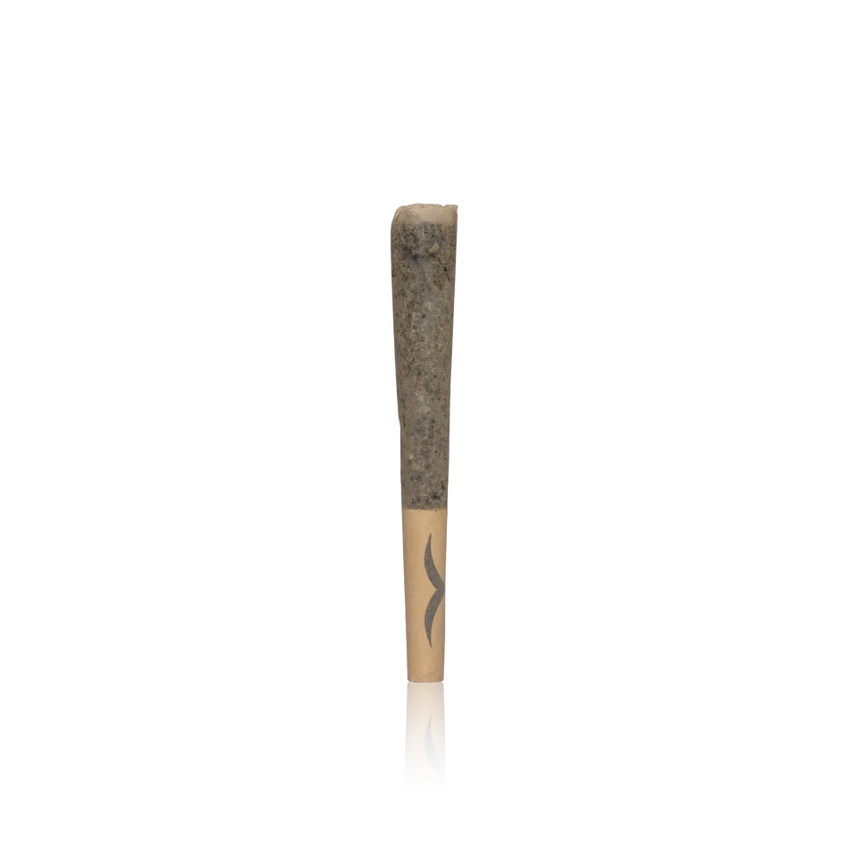 Jetty High THC Infused Pre-Roll