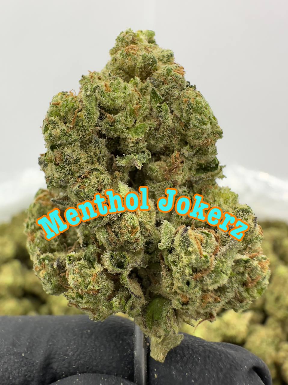 NEW BOUTQUES: Menthol Jokerz, Cherry Sprite