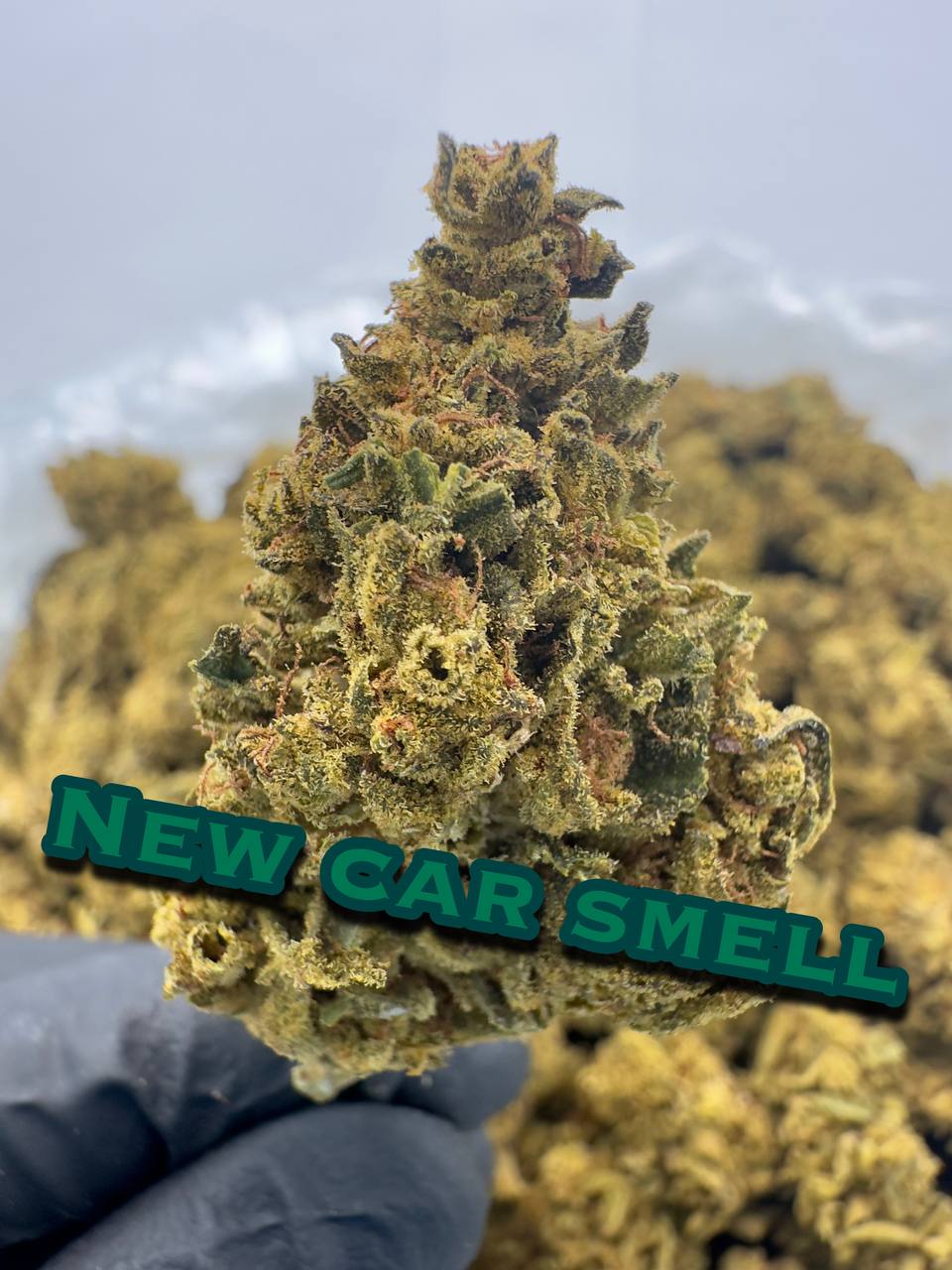 NEW ORGANIC OUTDOORS: Gushers, True OG, Apples N Bananas, New Car Smell