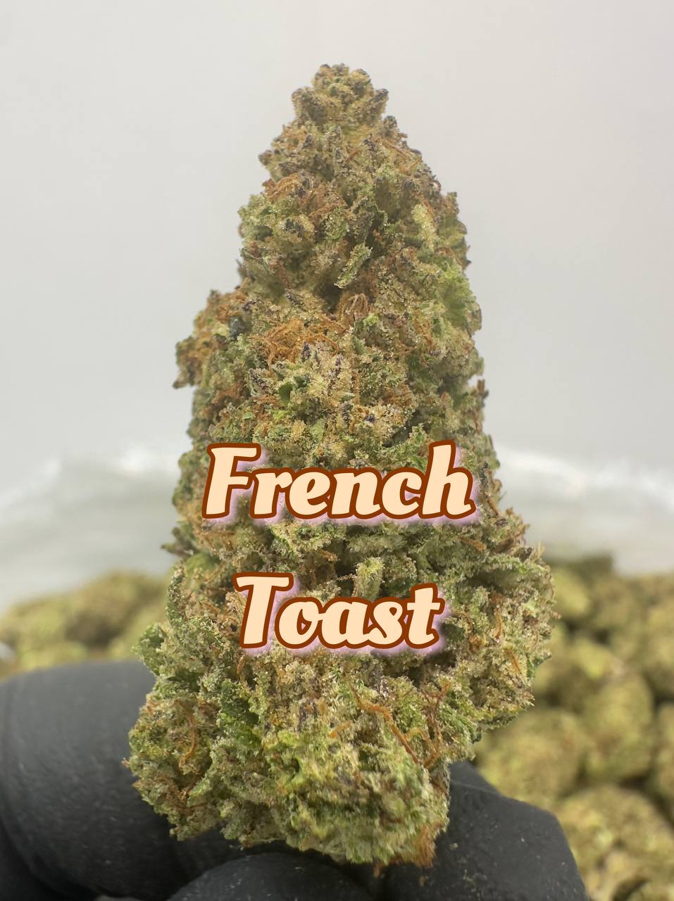 NEW LIGHT DEPS: Zangria, Marshmallow Pancakes, French Toast