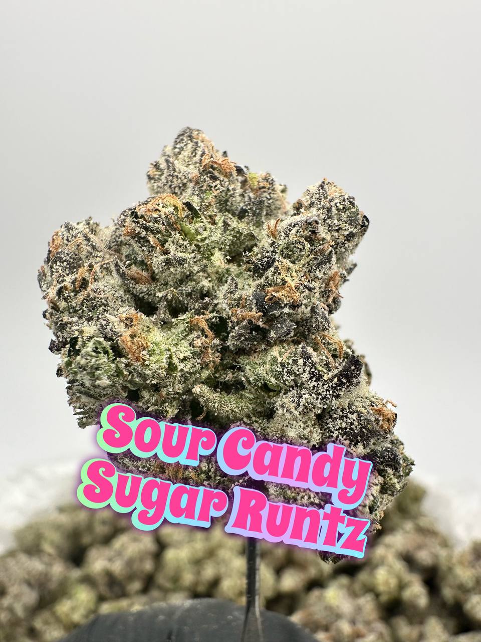 NEW A++ BEYOND EXOTICS: Sour Candy Sugar Runtz
