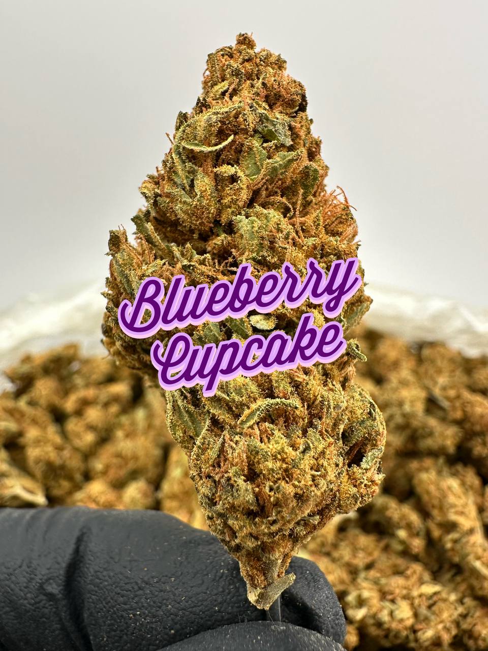 ORGANIC OUTDOORS: Sinmint Cookies, Forum Cookies, Grape Ape