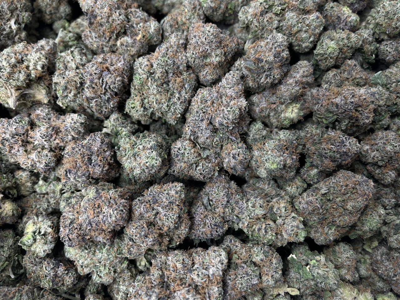 Watermelon Jolly Ranchers