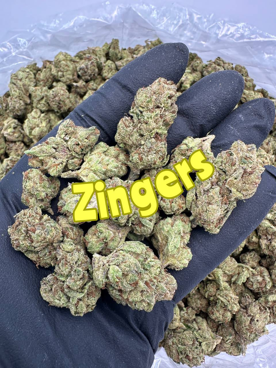 NEW MEDIUMS: Pink Certz, Zingers