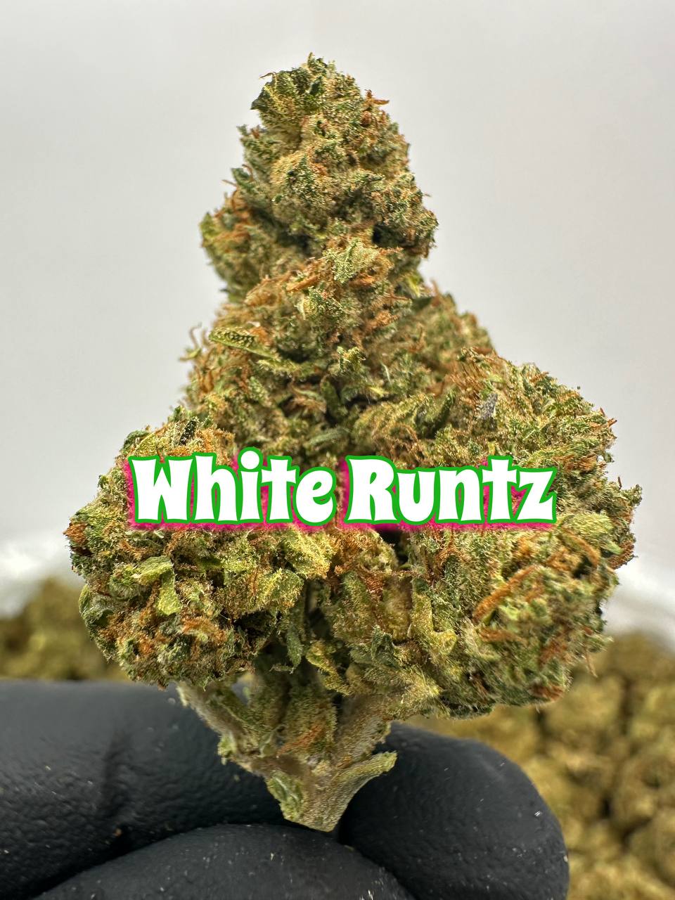 NEW DISCOUNT DEPS: Cherry Cobbler, White Runtz, Sour Chem, Guava Dawg