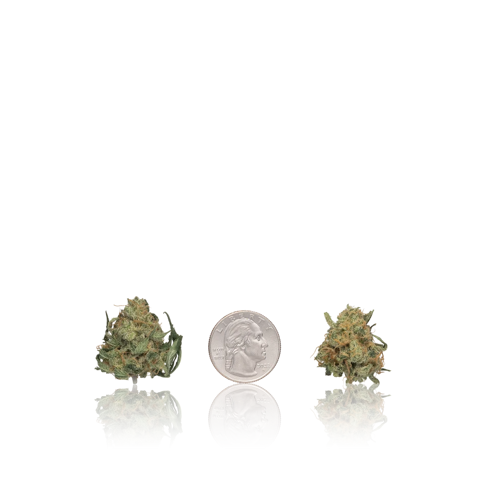 Bulk Premium Untrimmed Smalls