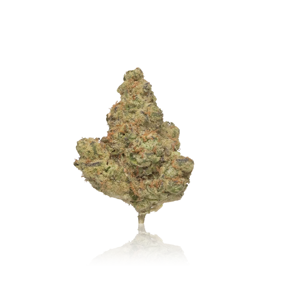 Your Highness Bagged Flower