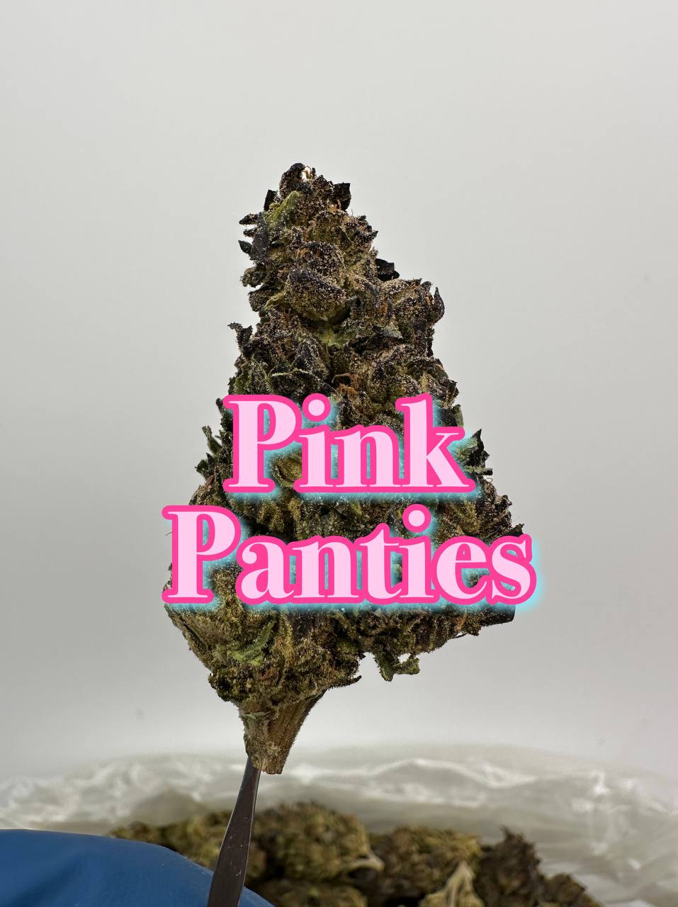 NEW DISCOUNT DEPS: Papaya Mints, Strawberry Gary, Pink Panties