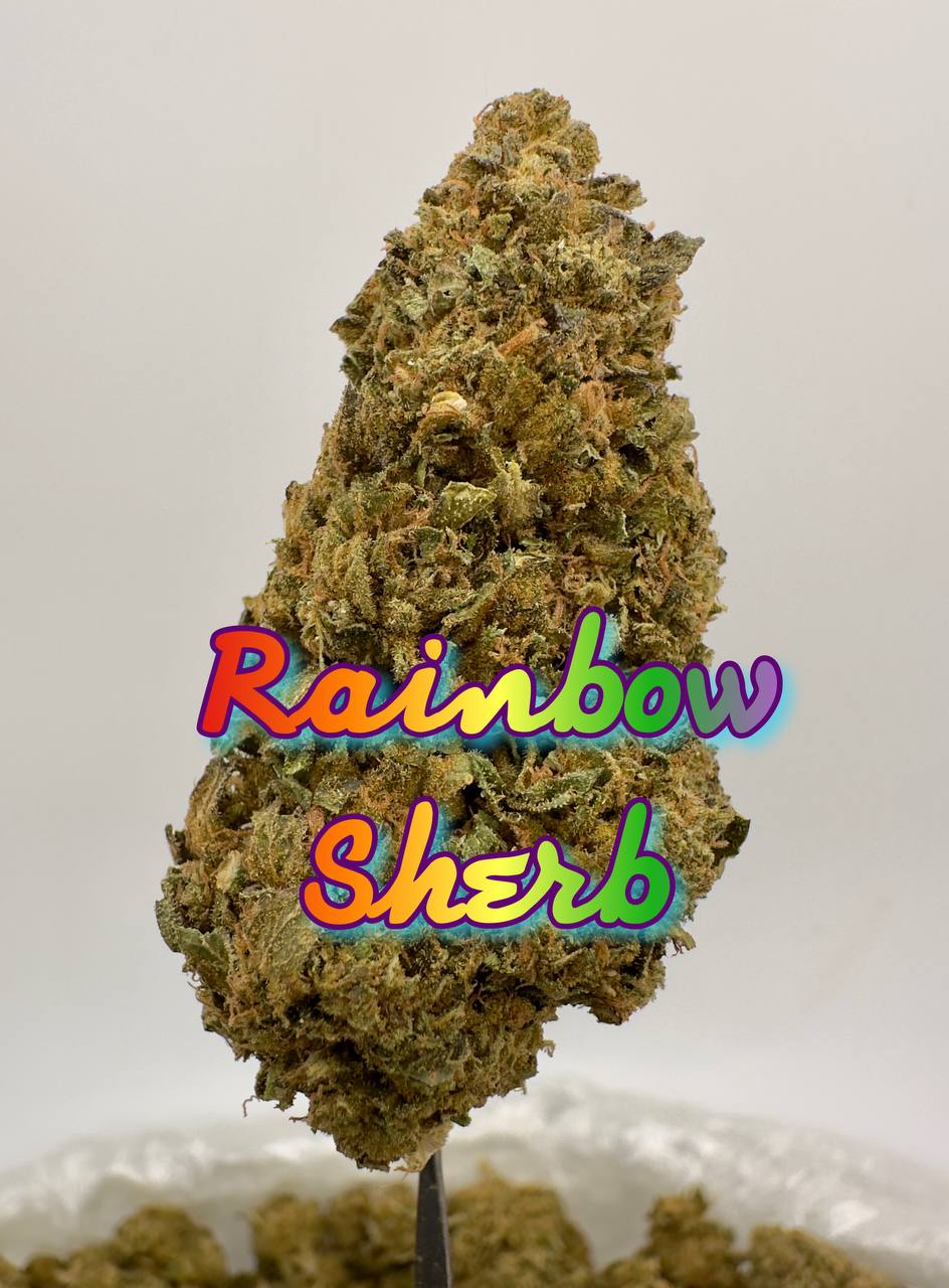 NEW HIGH END OUTDOORS: SFV Cookies, Jokerz Juice, Blue Mango, Rainbow Sherbet
