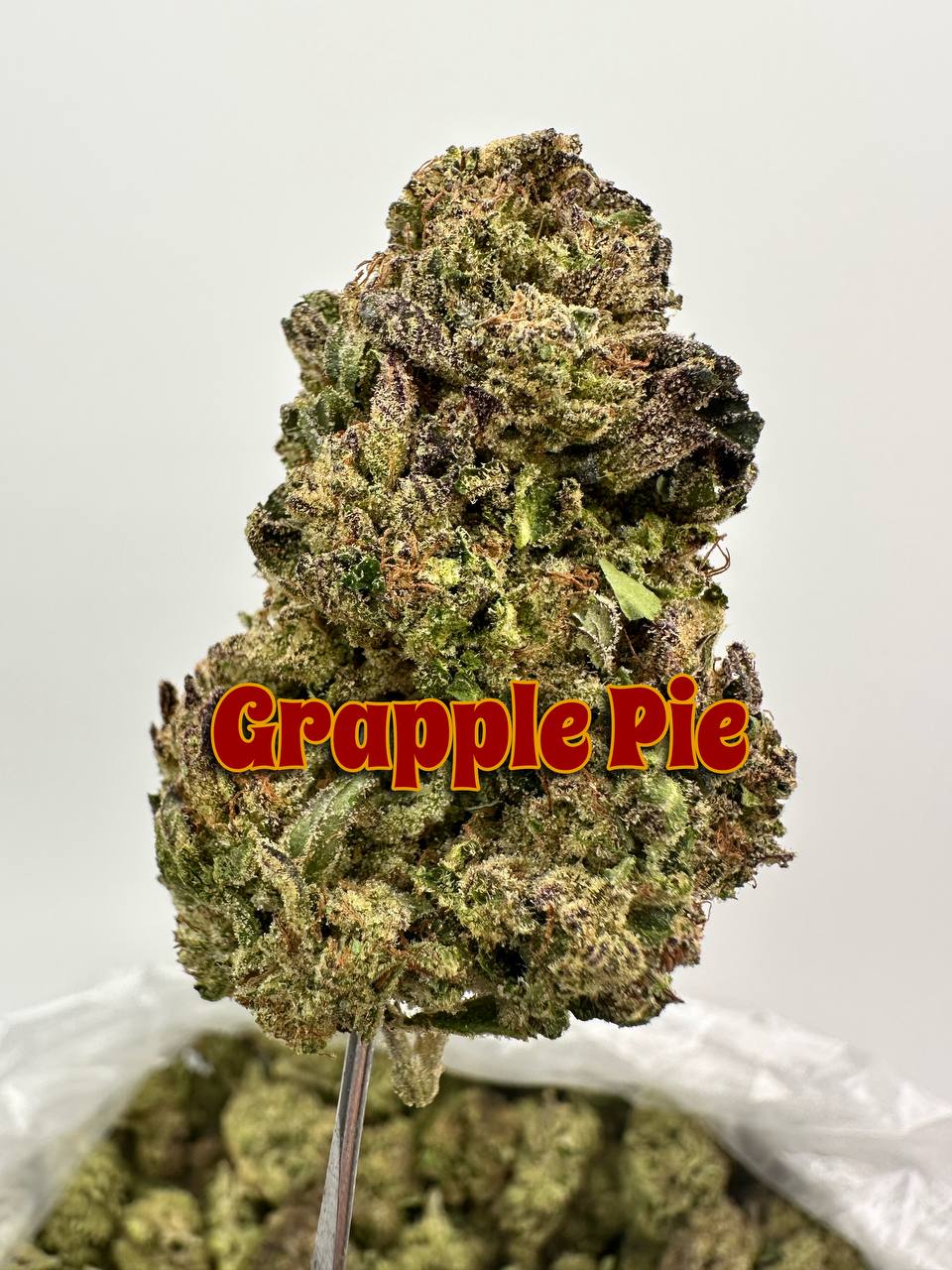 NEW PREMIER LIGHT DEPS: Jelly Rollz, Grapple Pie, Popstar, Dip N Stix