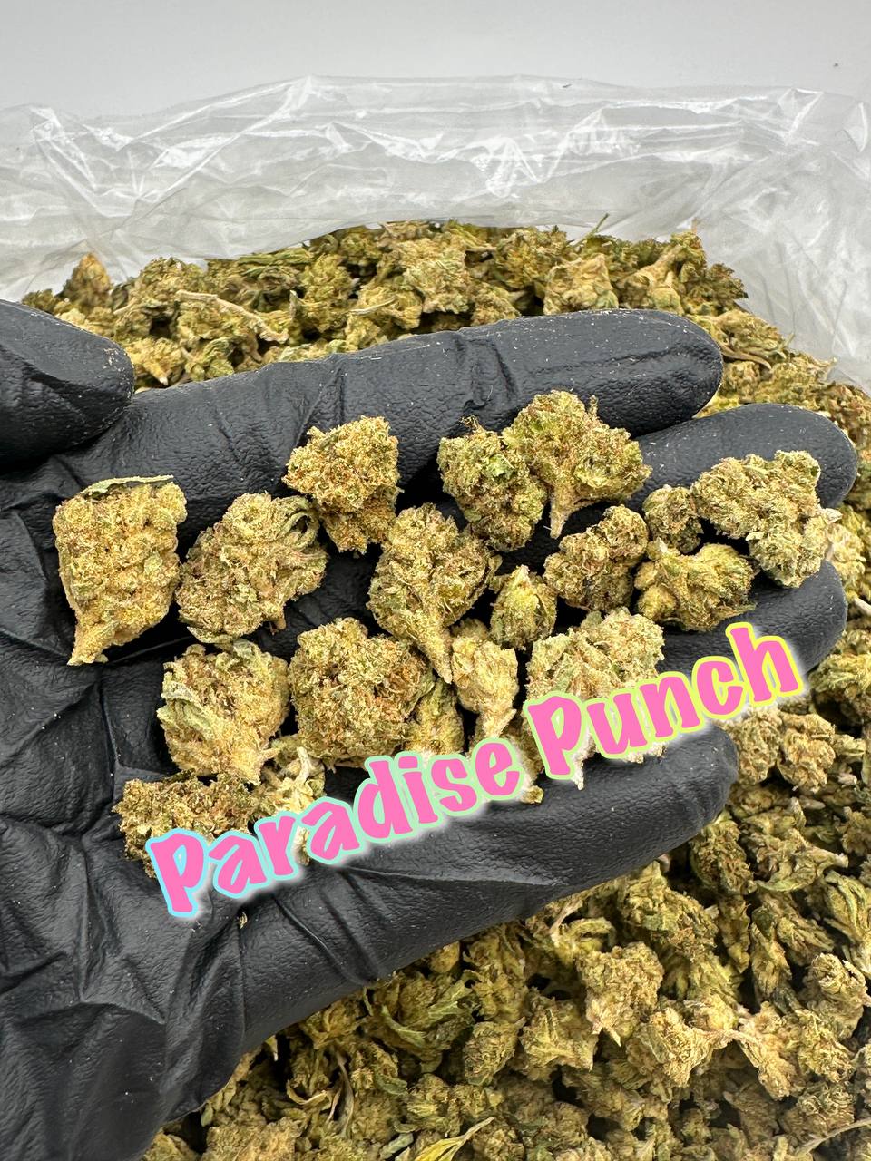 NEW GREENHOUSE SMALLS: Paradise Punch, Royal Kush, Huckleberry Pound Cake, Dulce De Leche