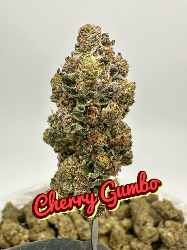 PREMIER BOUTIQUES: Cherry Gumbo