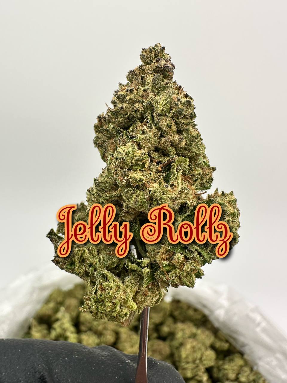 NEW PREMIER LIGHT DEPS: Jelly Rollz, Grapple Pie, Popstar, Dip N Stix