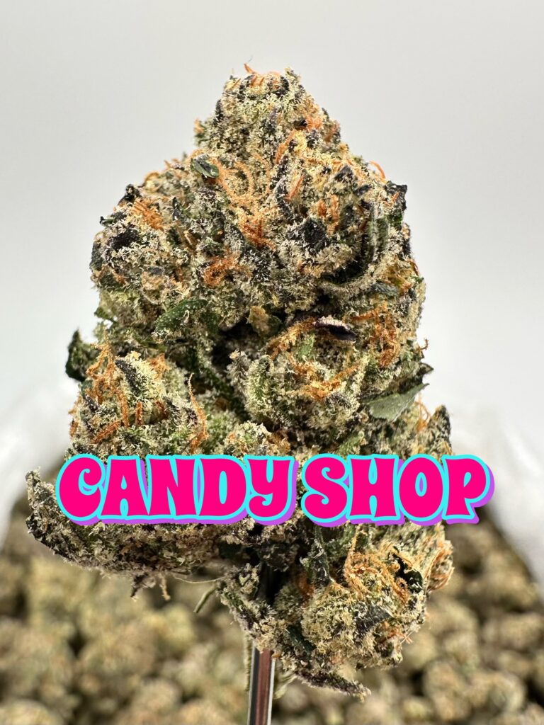 A-GRADE EXOTIC INDOOR: Candy Shop