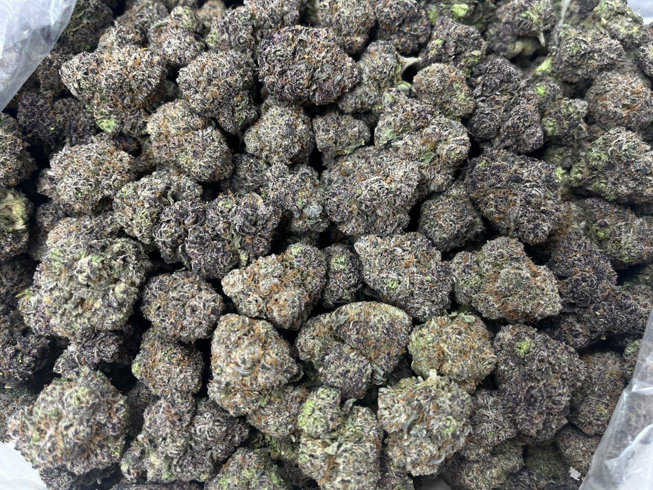 [EXOTIC] White Gummiez