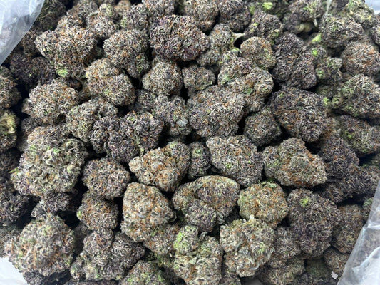 [EXOTIC] White Gummiez