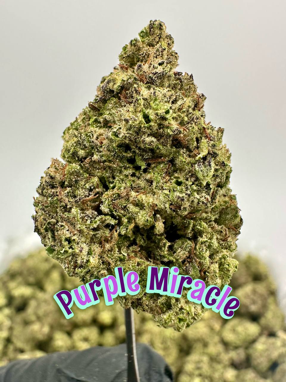 BOUTIQUES: Purple Miracle