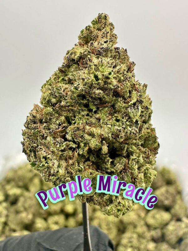 BOUTIQUES: Purple Miracle