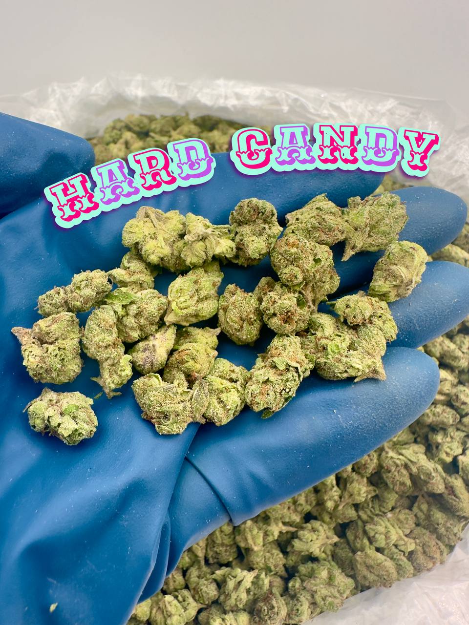 NEW LOUDBOY INDOOR SMALLS: Wrank Wruntz, Gasberry Burzt, Watermelon Zum Zum, Hard Candy