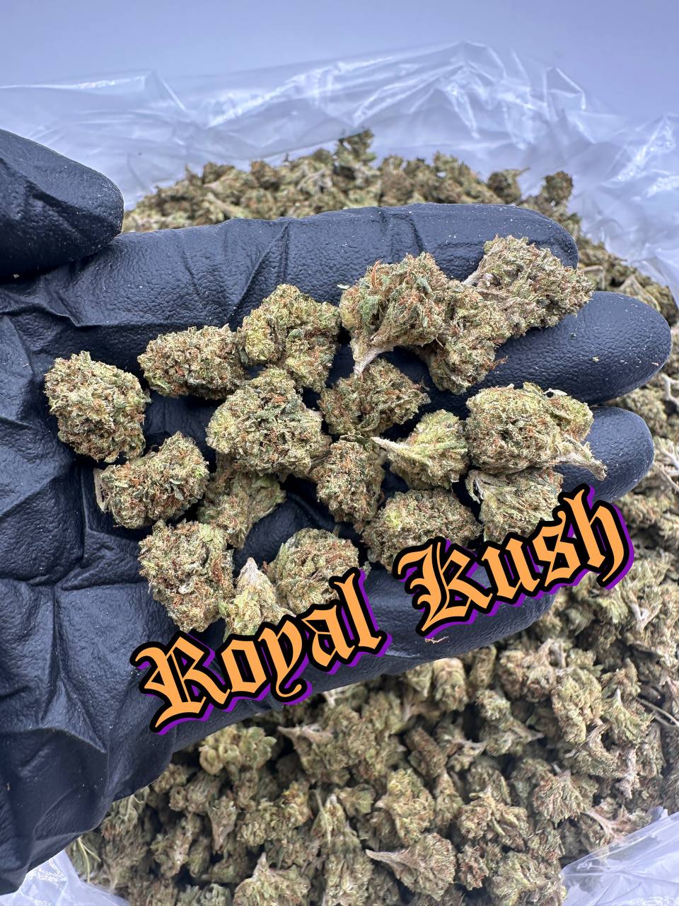 NEW GREENHOUSE SMALLS: Paradise Punch, Royal Kush, Huckleberry Pound Cake, Dulce De Leche