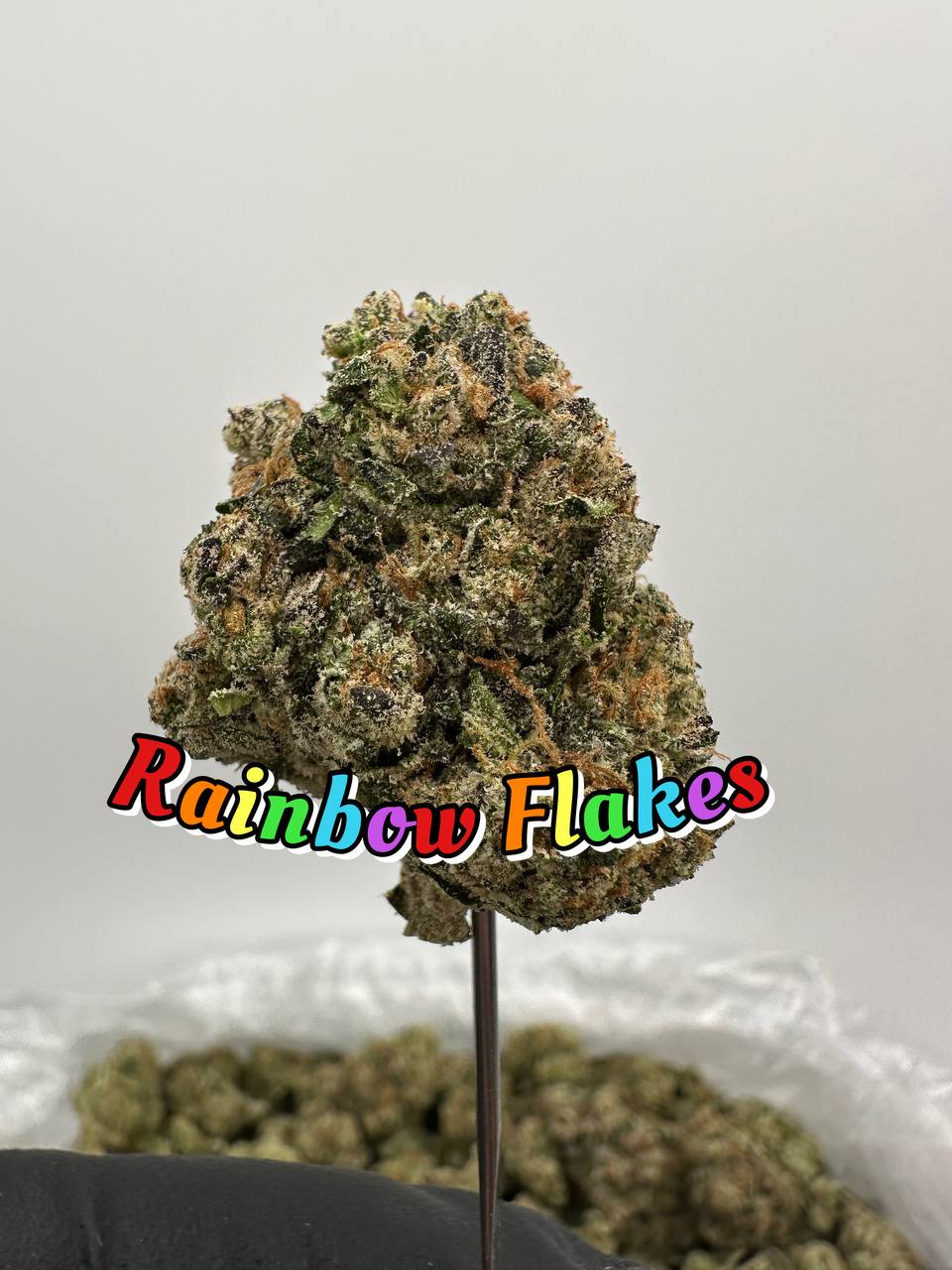NEW PREMIER BOUTIQUES: Bustacular, Rainbow Flakse