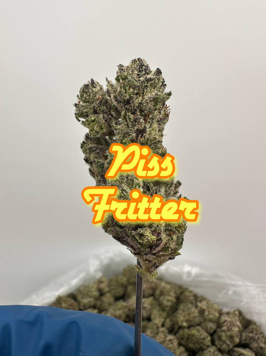 BOUTIQUES: Piss Fritter