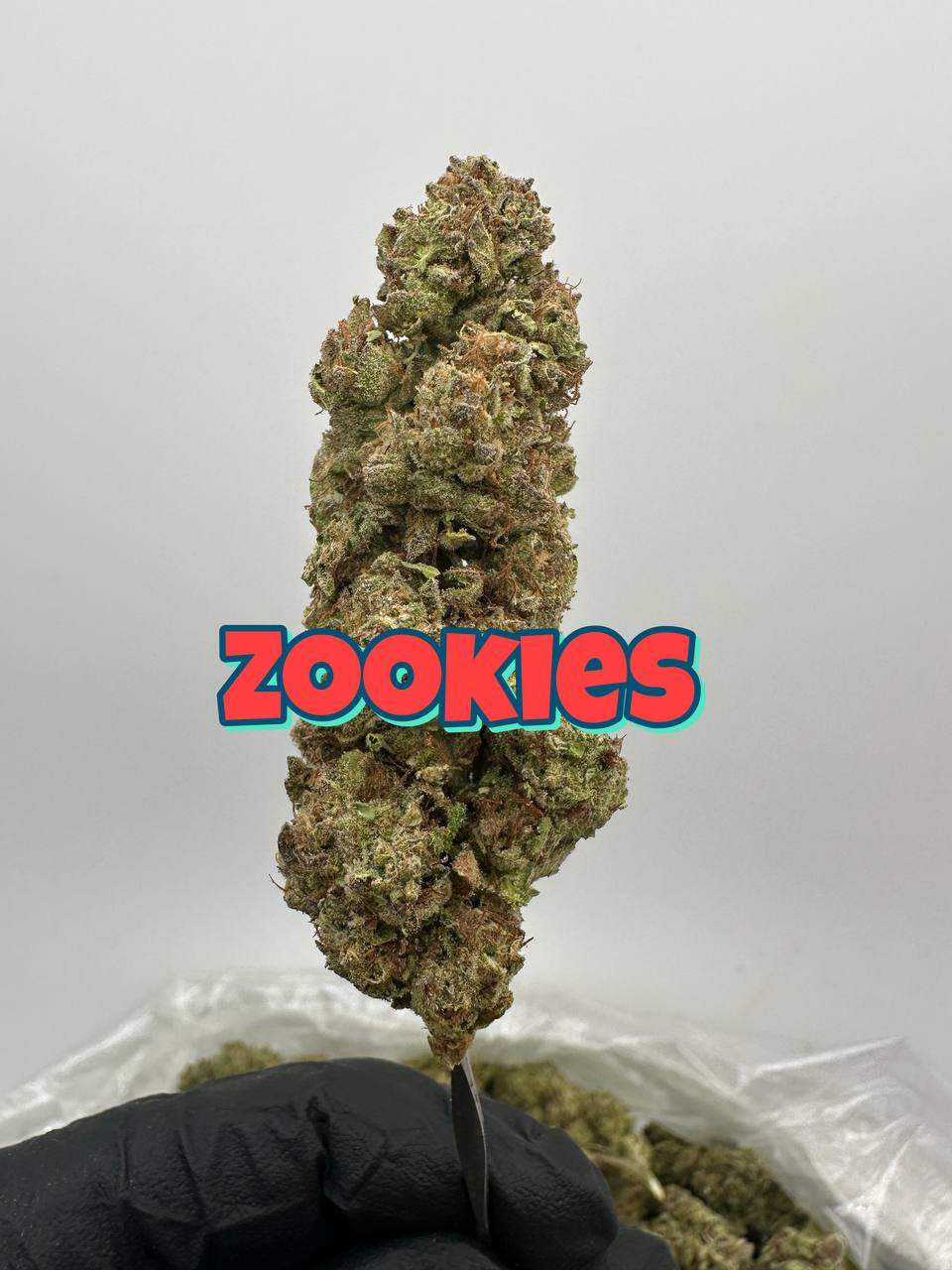 NEW PREMIER LIGHT DEPS: Purple Pineapple, Strawberry Jolly Rancher, Slurpsicle, Gas Basket