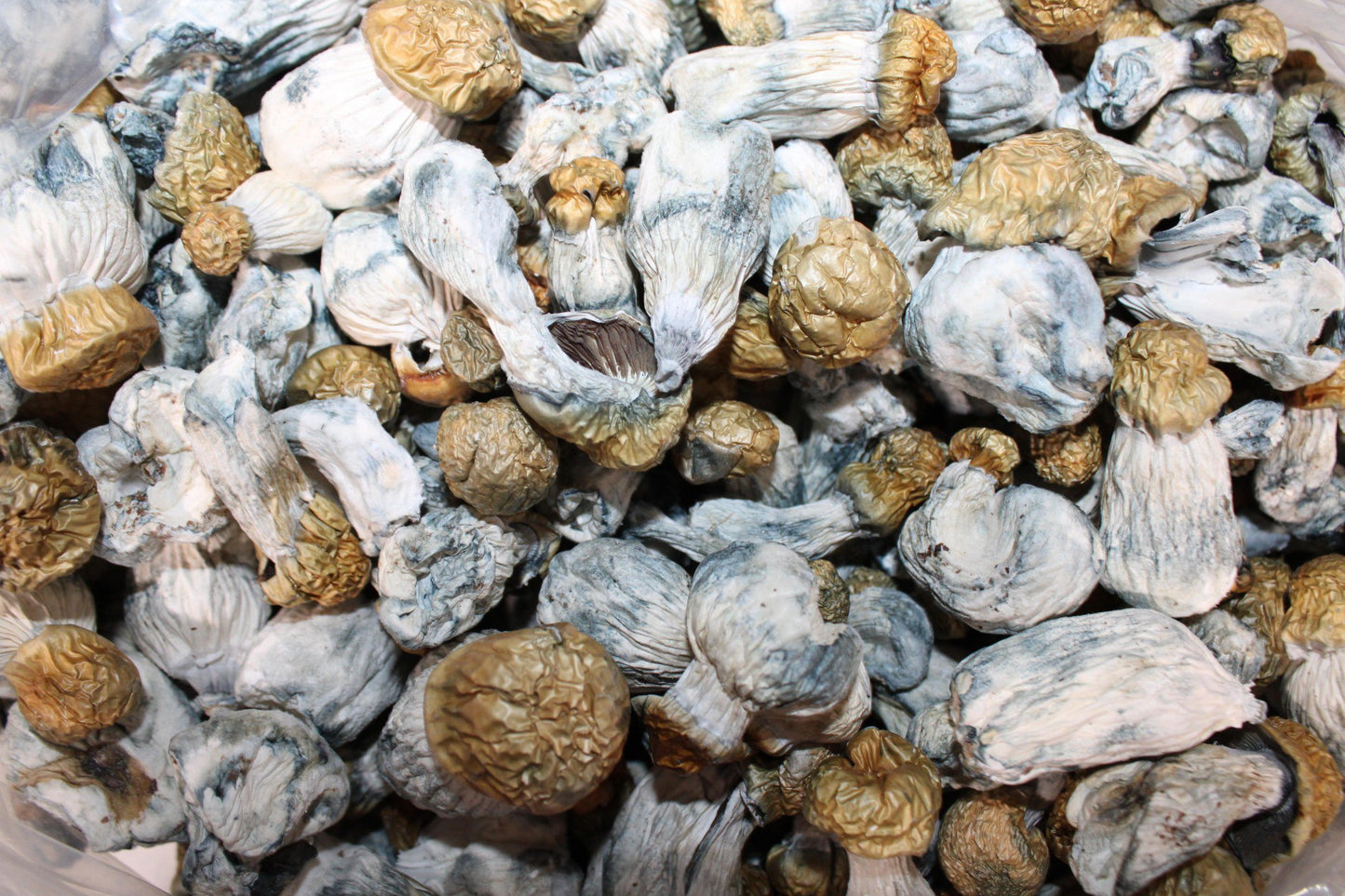 Bluie Vuitton - AA Shrooms