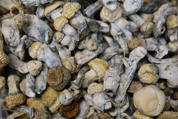 Baby Ape - AA Shrooms