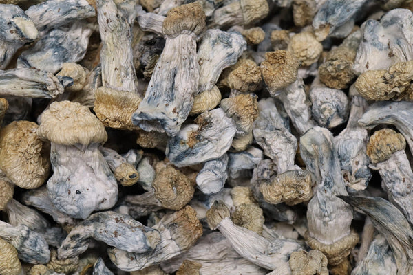 Casper - AA Shrooms